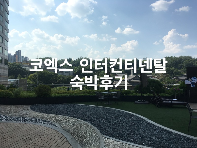 서울 코엑스 인터컨티넨탈 호텔 숙박 후기 (스탠다드룸, 수영장, 헬스장)