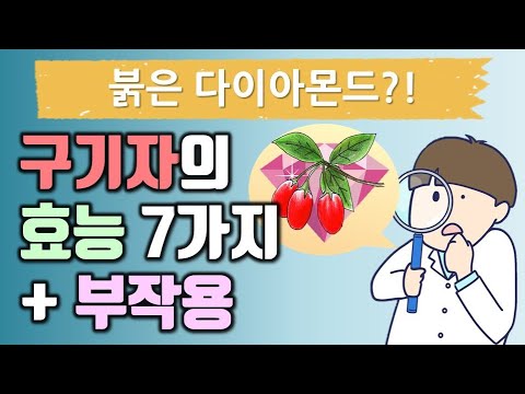 구기자 효능 7가지와 부작용, 먹는법 까지~ 알고 먹으면 약이됩니다. - Youtube
