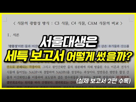 서울대생의 실제 세특 보고서 + 세특 작성법 공개합니다