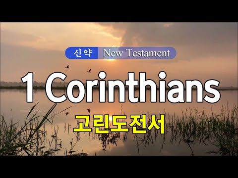07 1 Corinthians (고린도전서) 영어성경 NIV 통독 낭송 / 영어 자막 / 전문 성우가 읽어주는 오디오 성경