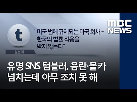유명 SNS 텀블러, 음란·몰카 넘치는데 아무 조치 못 해 (2018.05.29/뉴스투데이/MBC)