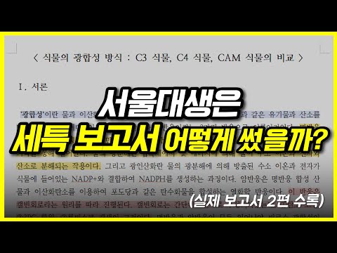 고등학교 주제탐구보고서 예시: 이런 식으로 만들면 넘사벽인 보고서 쓰는 방법! [클릭하세요]